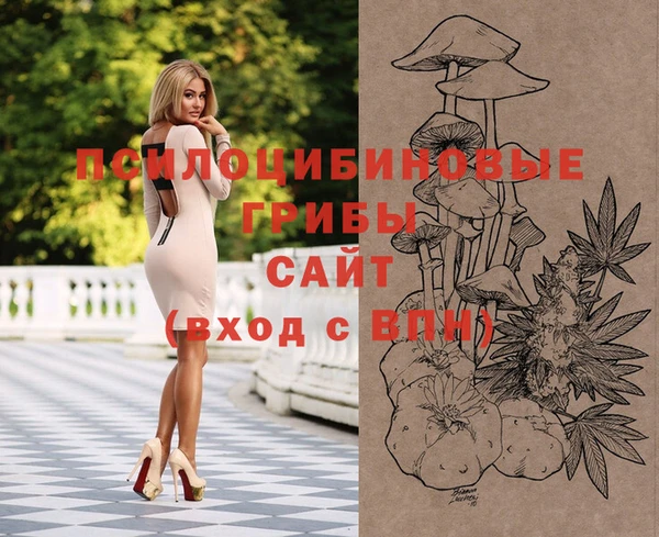 твердый Алексеевка