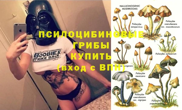 Альфа ПВП Алексин