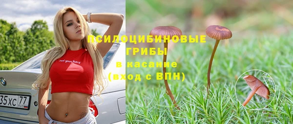 твердый Алексеевка