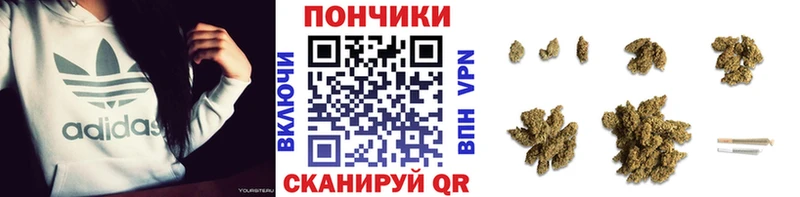 Бошки Шишки OG Kush Заводоуковск